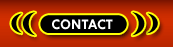 Transsexuals Phone Sex Contact Toronto